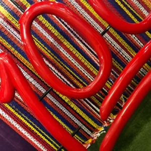 Meet your Posher, Alani